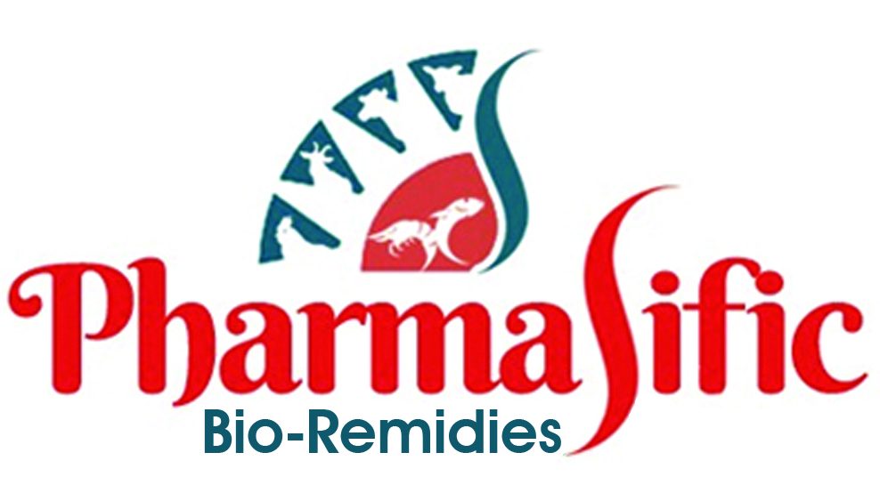 top software companies in KPHB